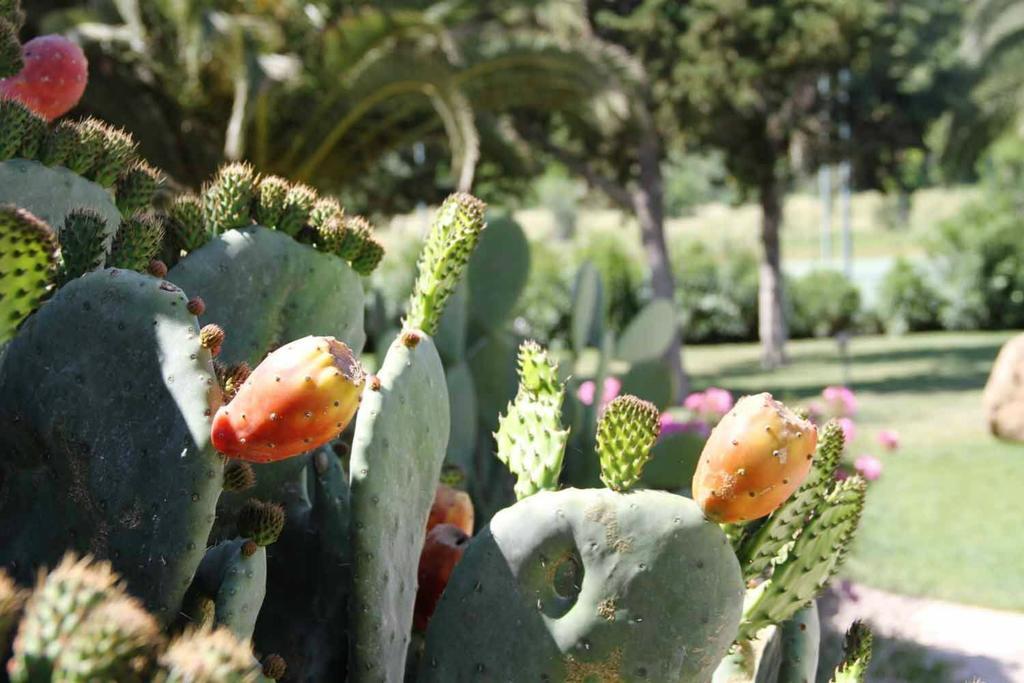 Alghero Resort Country Hotel & Spa Exterior foto