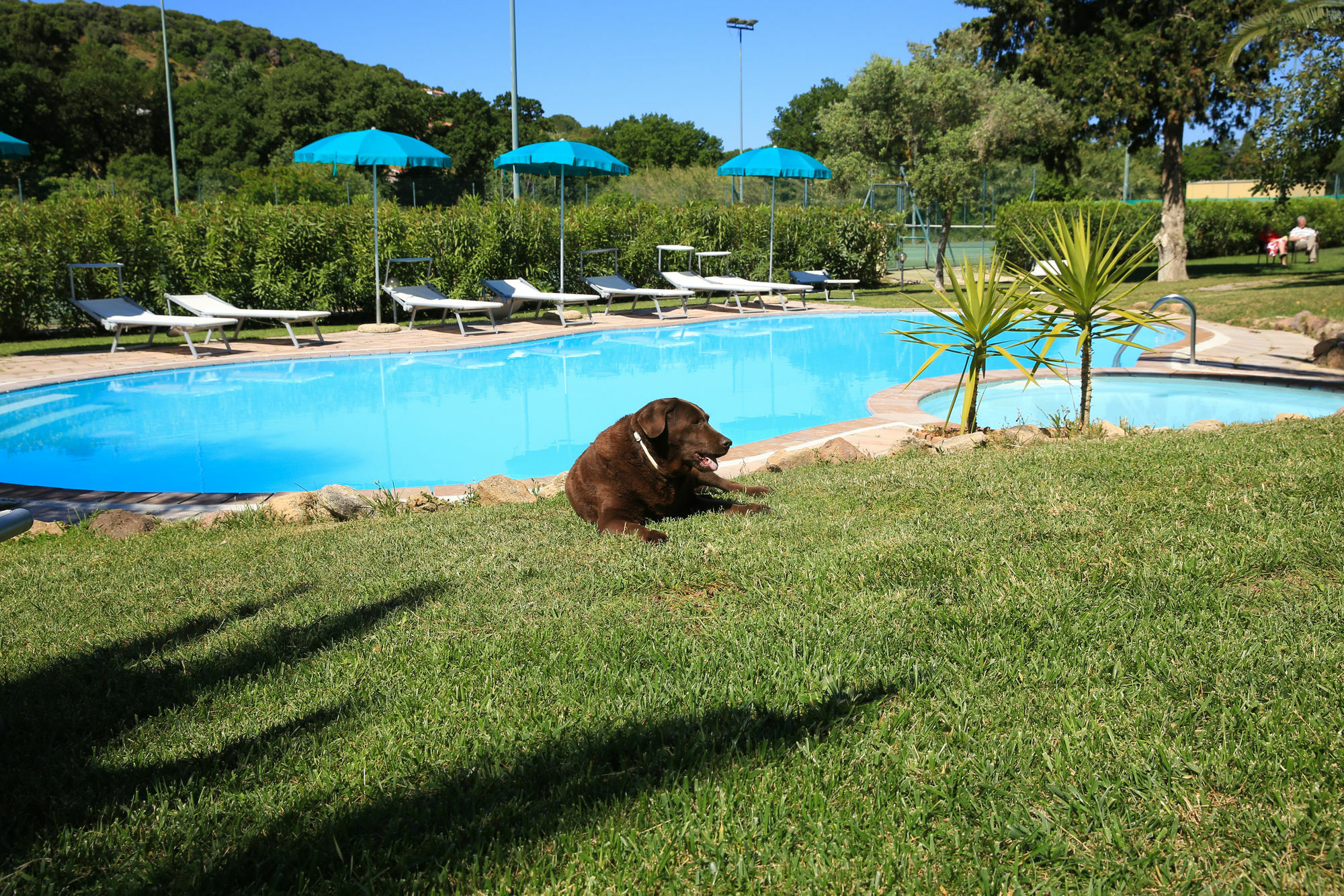 Alghero Resort Country Hotel & Spa Exterior foto